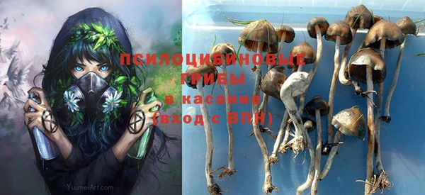 мяу мяу кристалл Инта