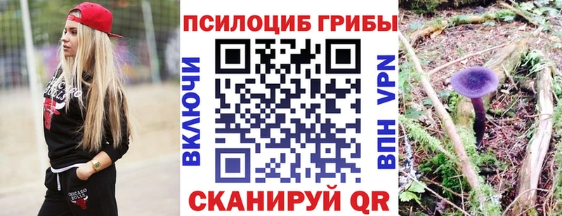 Псилоцибиновые грибы Psilocybe  Купить  Зерноград 